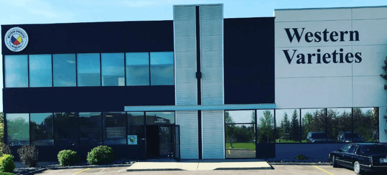 681449 5cd9223a81db4f4c9315c03f4a1425d6mv2 768x347