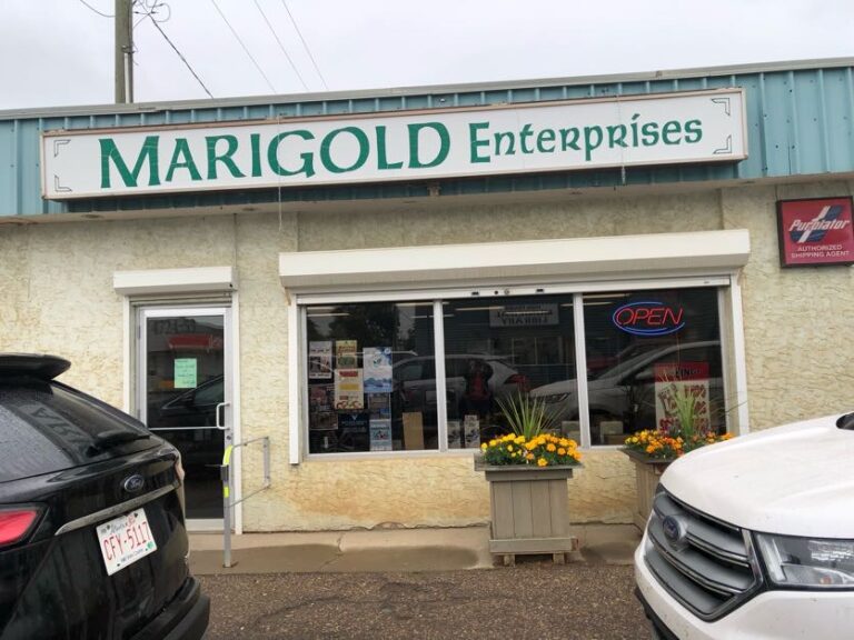 e49b87 1de4840fcc3848b5bd6d8cc2d5bf2f0cmv2 768x576