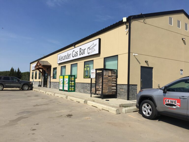 e49b87 4d540be956a3430a9732841efd985fe3mv2 1 scaled 768x576