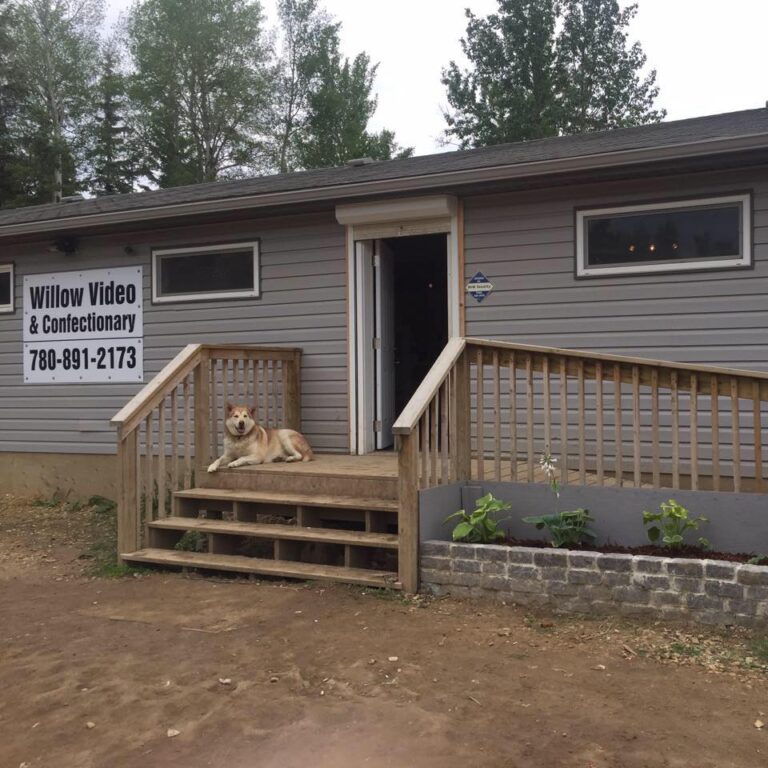 e49b87 cc9328f822014a80a446a8328527d64fmv2 768x768